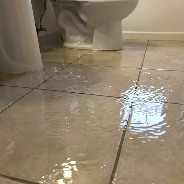 Expert Flooded Bathroom Restoration in Lauderhill, FL 