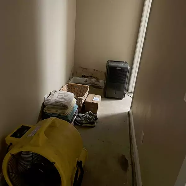 Expert Water Remediation in Lauderhill, FL 