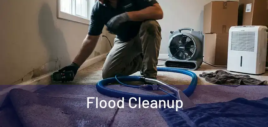  Flood Cleanup 